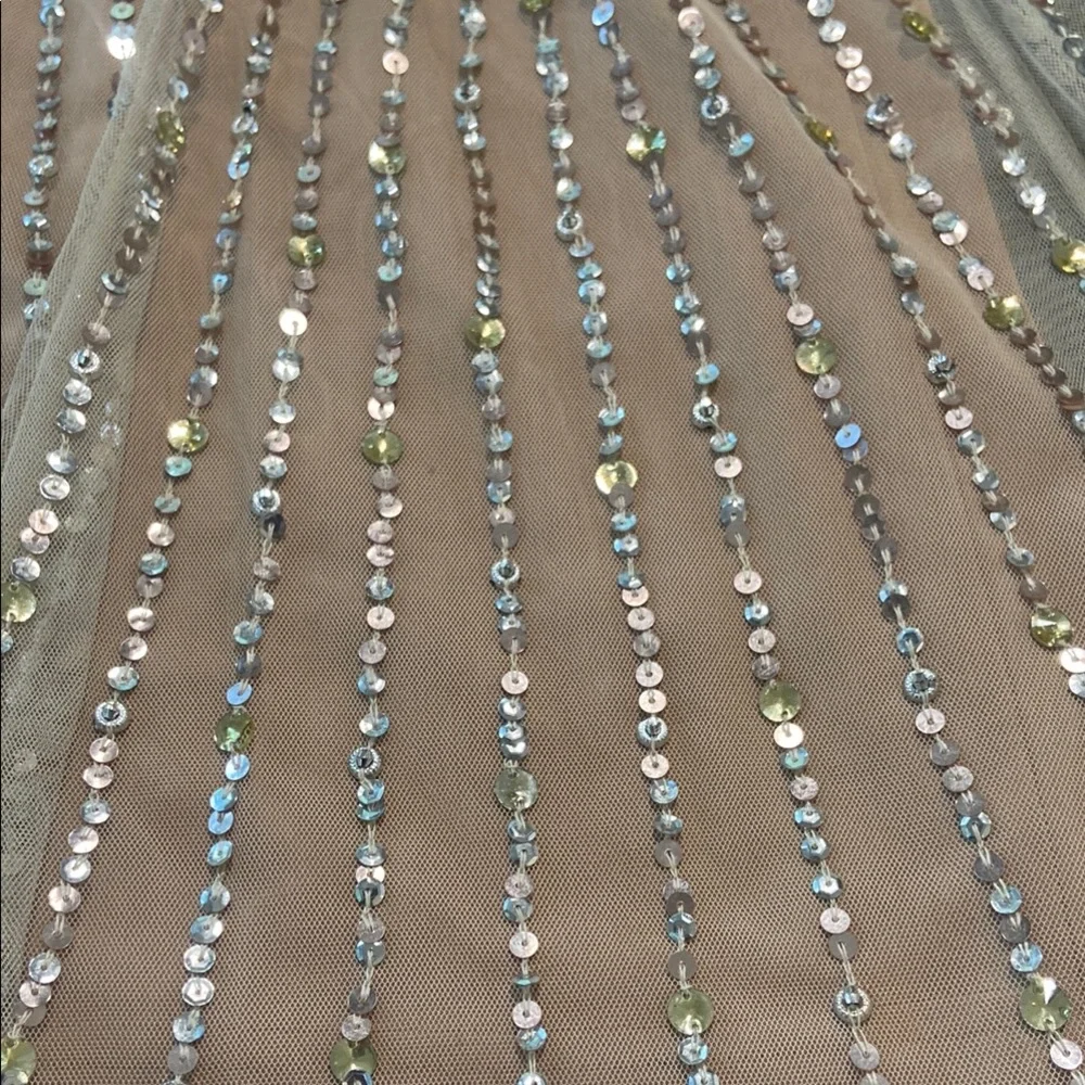 Elegant Sequined Dress in Champagne Gold - Picture 13 of 14